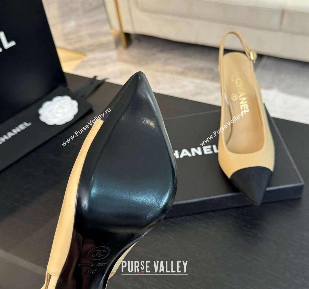 Chanel Calfskin Grosgrain Pointed Slingback Pumps Beige 2024 CH101719 (KL-241017118)