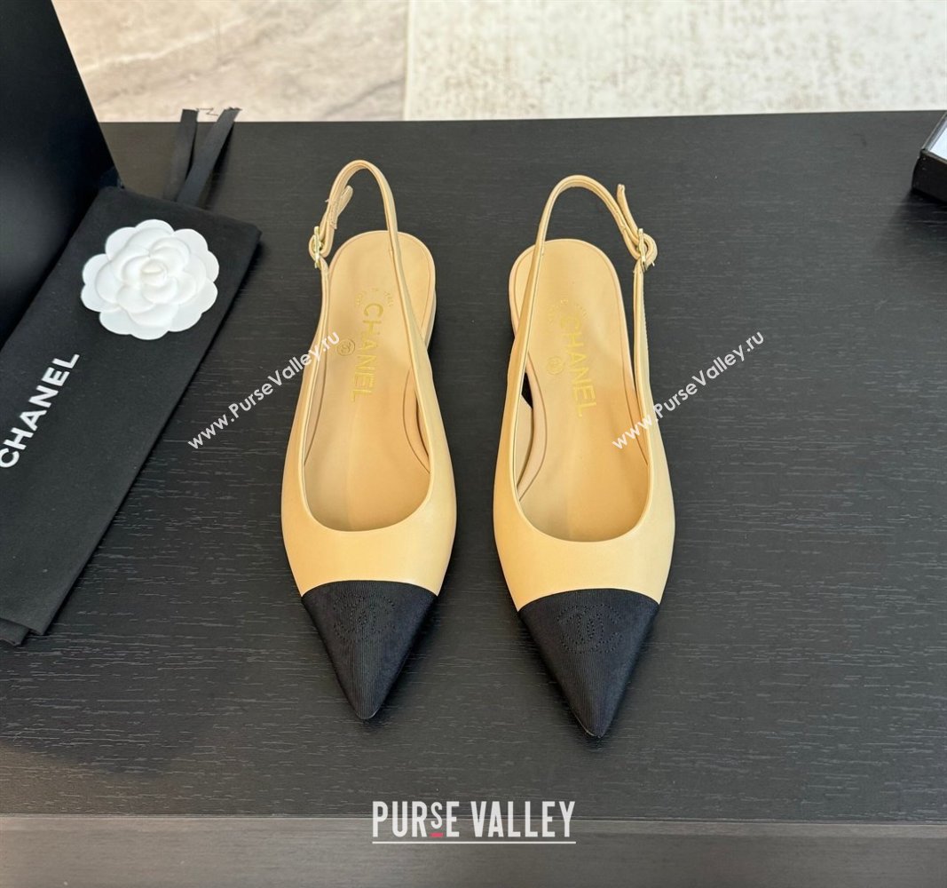 Chanel Calfskin Grosgrain Pointed Slingback Flats Beige 2024 CH101719 (KL-241017122)