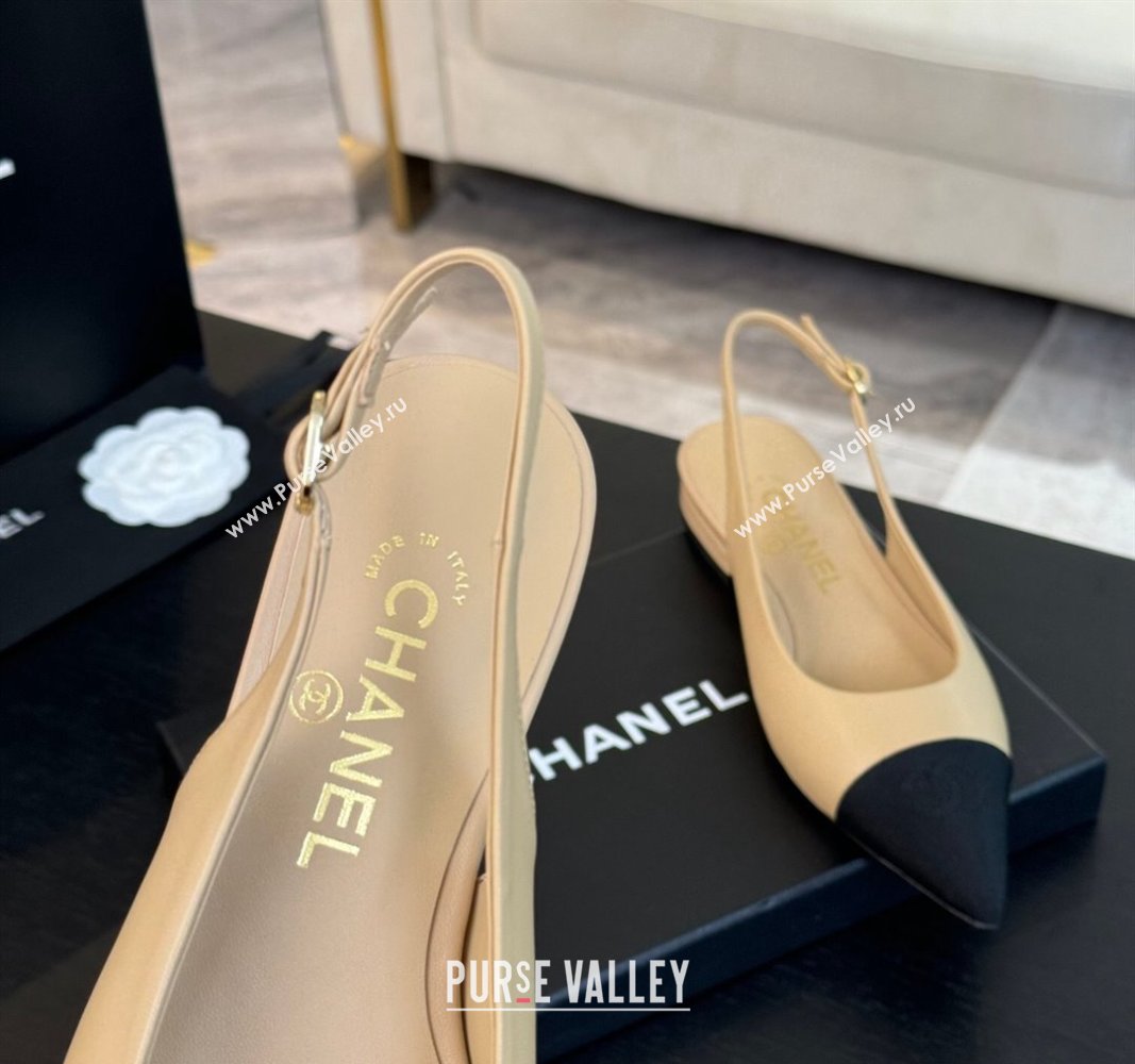 Chanel Calfskin Grosgrain Pointed Slingback Flats Beige 2024 CH101719 (KL-241017122)