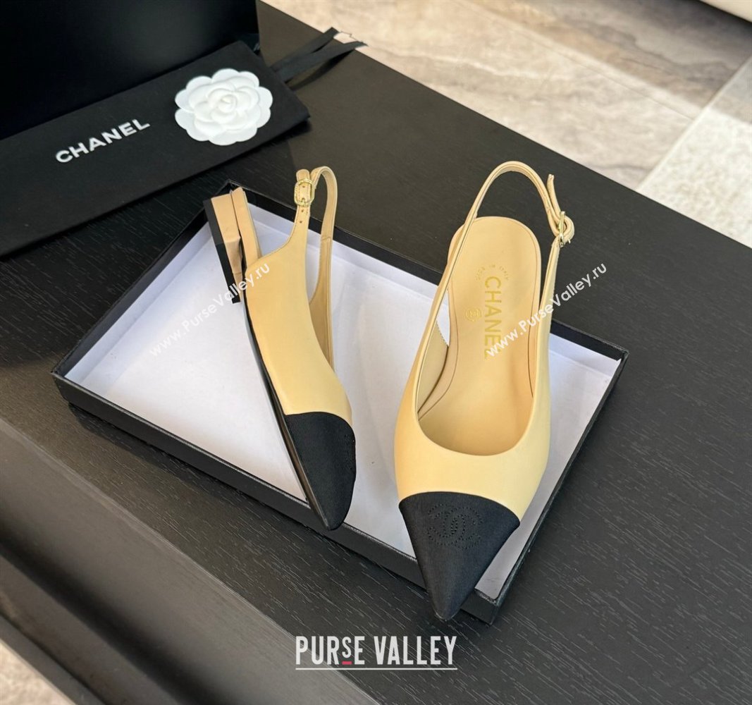 Chanel Calfskin Grosgrain Pointed Slingback Flats Beige 2024 CH101719 (KL-241017122)