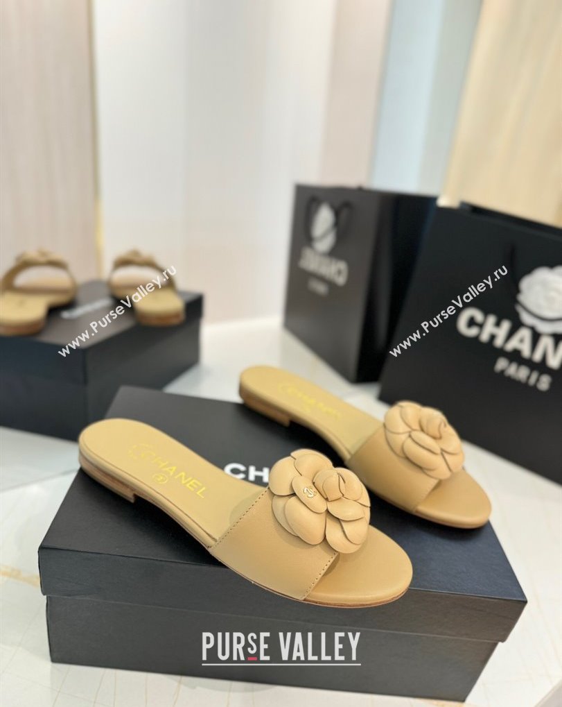 Chanel Camellia Bloom Lambskin Flat Slides Sandal G45499 Beige 2025 (MD-250417107)