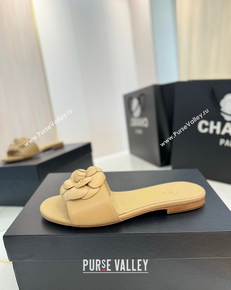 Chanel Camellia Bloom Lambskin Flat Slides Sandal G45499 Beige 2025 (MD-250417107)