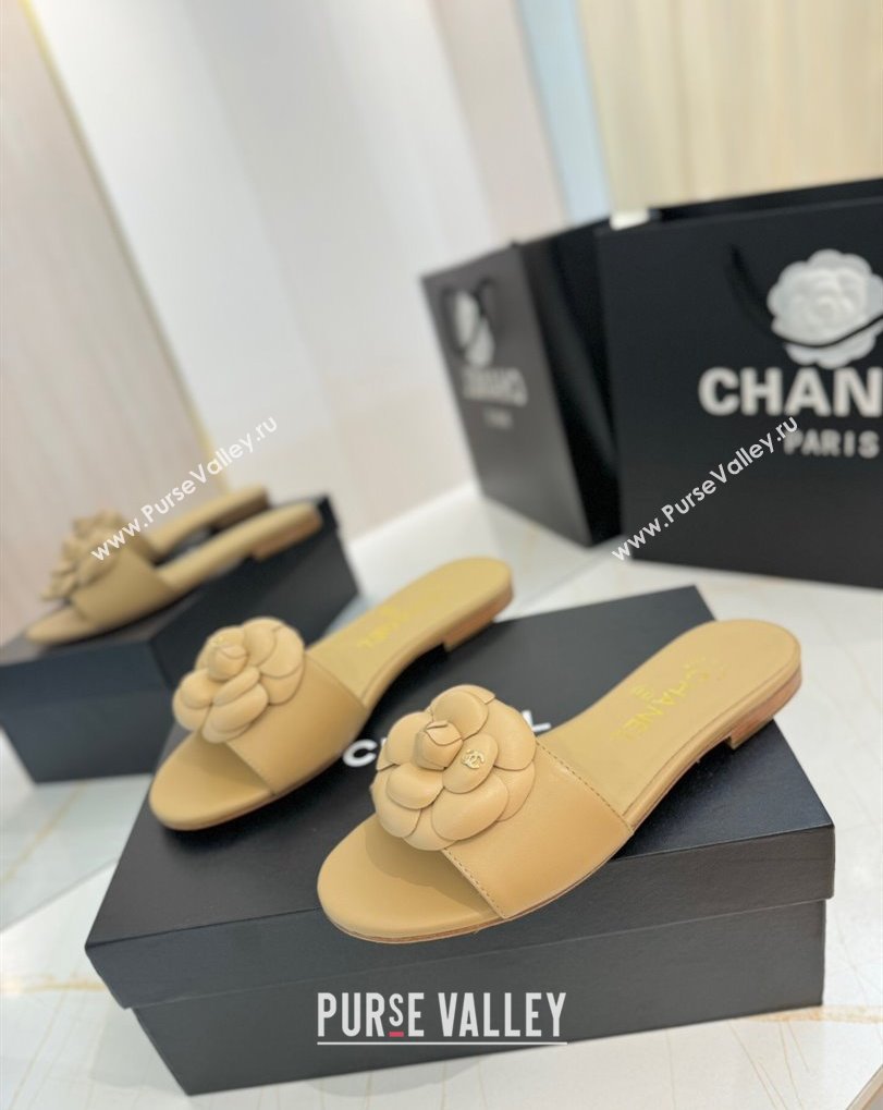 Chanel Camellia Bloom Lambskin Flat Slides Sandal G45499 Beige 2025 (MD-250417107)