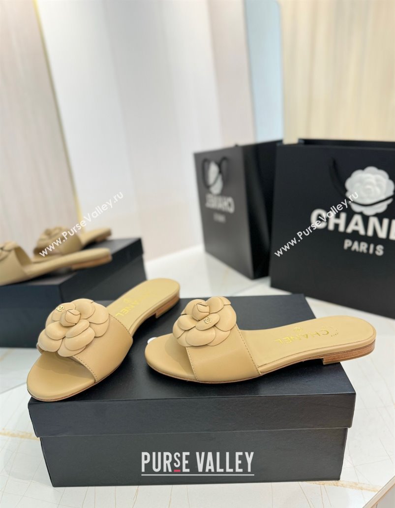 Chanel Camellia Bloom Lambskin Flat Slides Sandal G45499 Beige 2025 (MD-250417107)