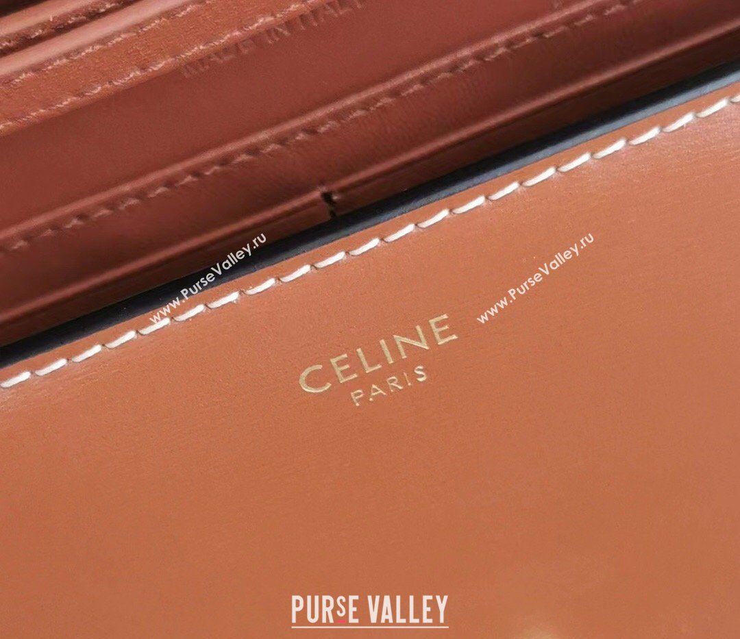 Celine Triomphe Leather Chain Mini Bag Brown 2026 10J733 (BL-260411060)