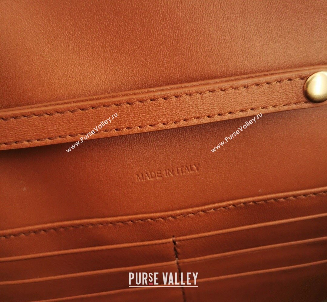 Celine Triomphe Leather Chain Mini Bag Brown 2026 10J733 (BL-260411060)