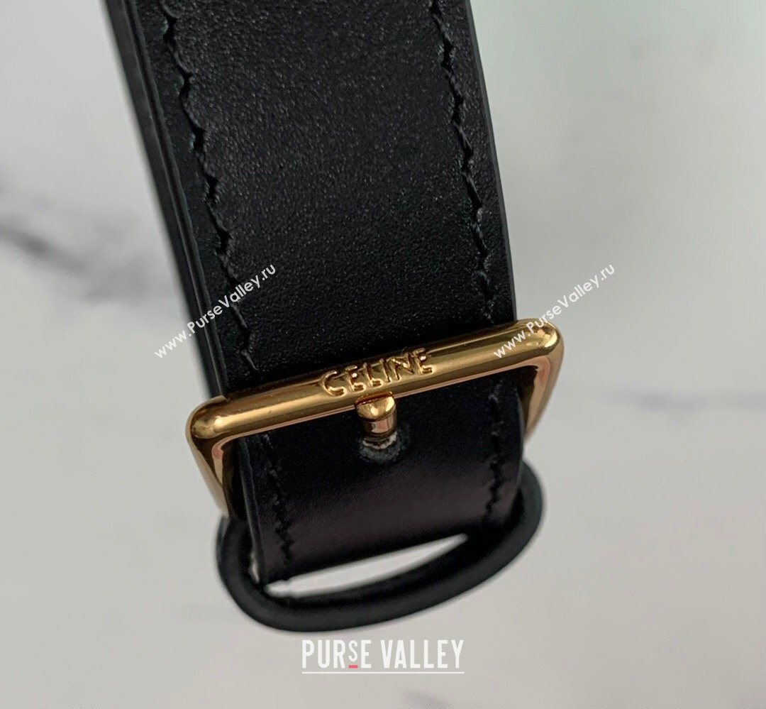 Celine Mens Medium Messenger Bag in Triomphe Canvas 2026 194502 (BL-260411061)