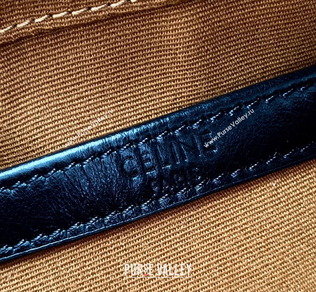 Celine Mens Medium Messenger Bag in Triomphe Canvas 2026 197202 (BL-260411062)