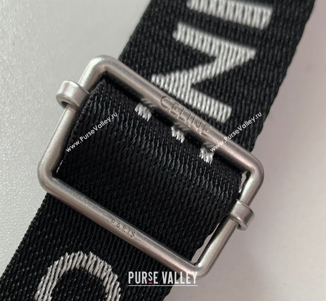 Celine Mens Medium Messenger Bag in Triomphe Canvas 2026 197202 (BL-260411062)