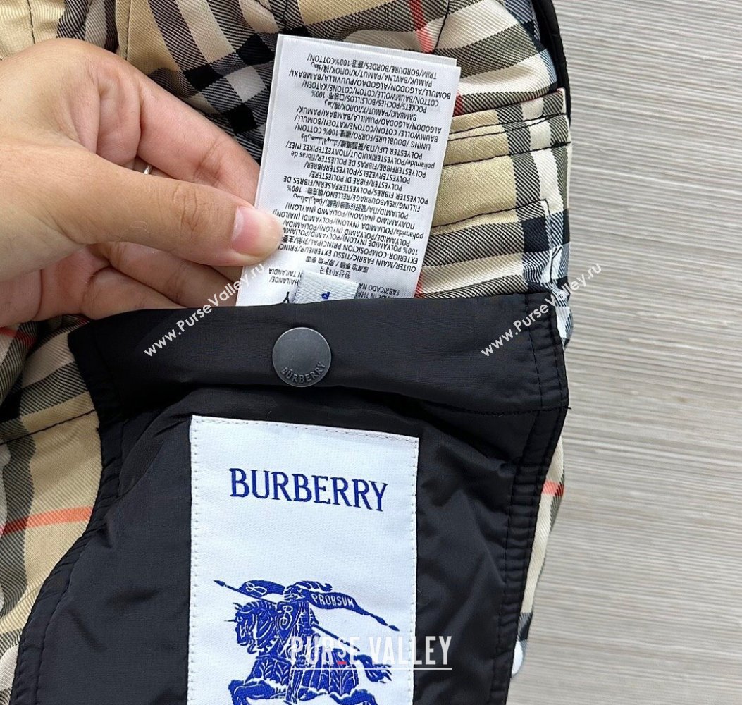 Burgundy Quilted and Padded Cotton Jacket Black 2025 BR091901 (QI-250919033)