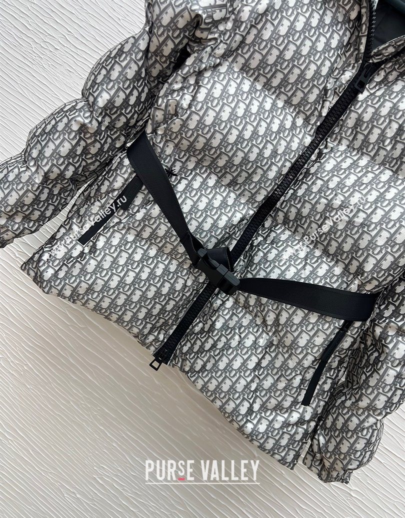 Dior Oblique Padded Jacket Grey 2025 1014 (QI-251014134)