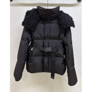 Moncler Castetnou Down Jacket Black 2025 1014 (QI-251014091)