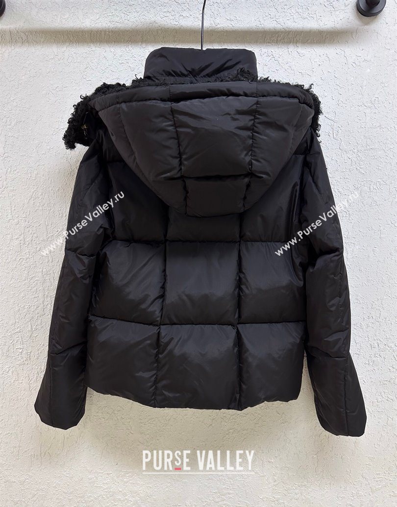 Moncler Castetnou Down Jacket Black 2025 1014 (QI-251014091)