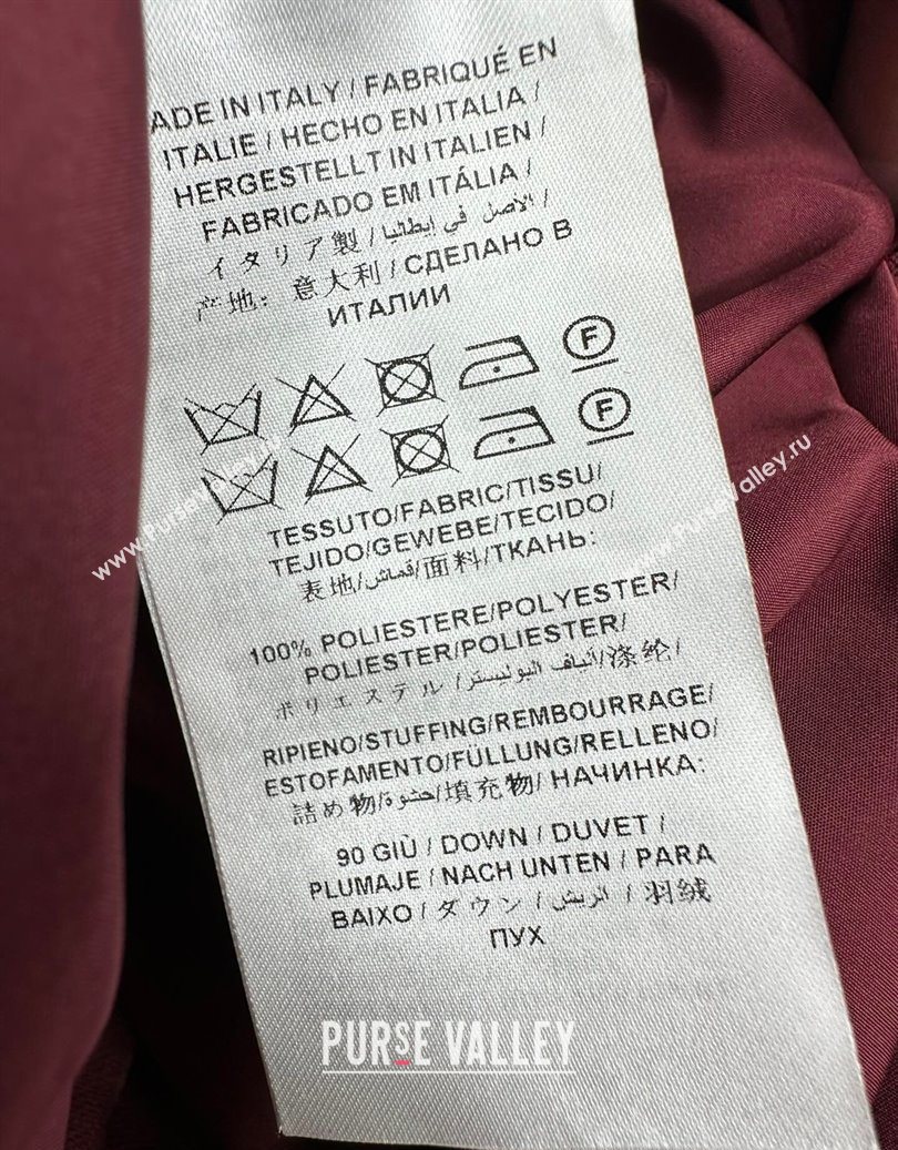 Gucci GG Down Jacket Red 2025 GG110613 (QI-251106013)