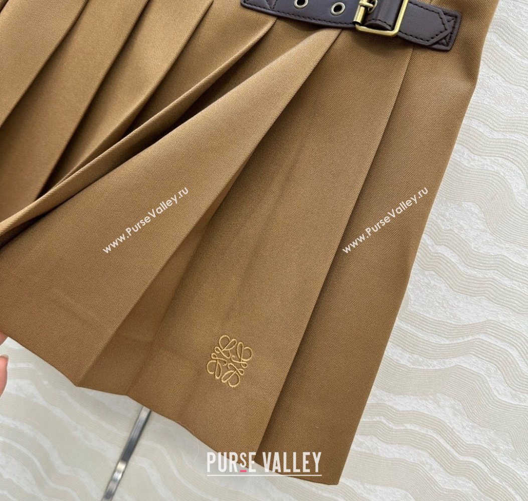 Loewe Mini Skirt Brown 2025 LW110667 (QI-251106067)