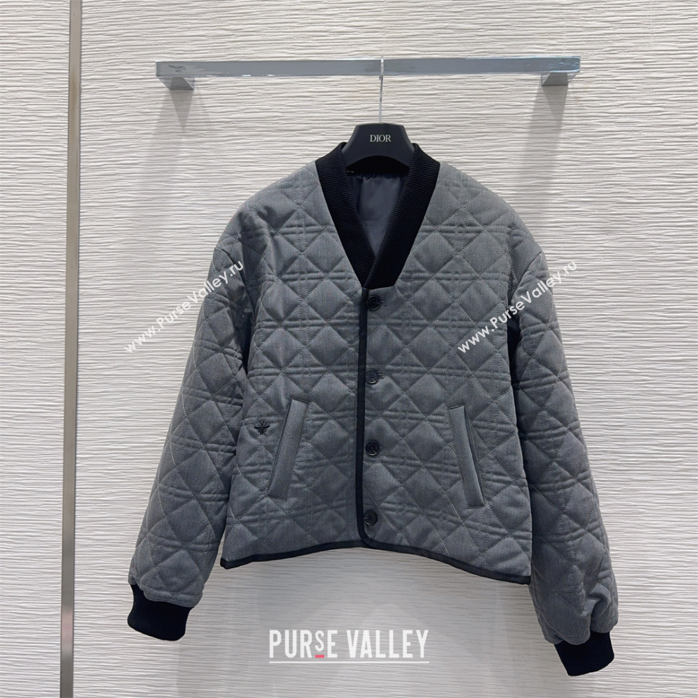 Dior Quilted Padded Jacket Grey 2025 DR110645 (QI-251106045)
