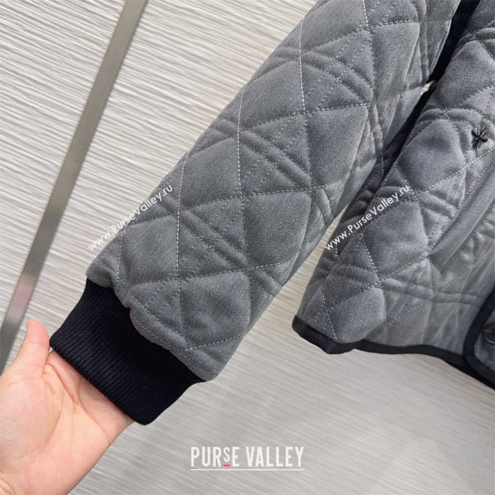 Dior Quilted Padded Jacket Grey 2025 DR110645 (QI-251106045)