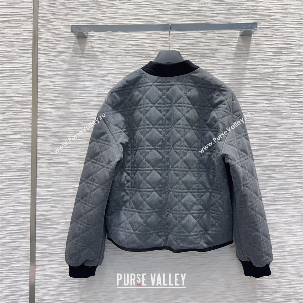 Dior Quilted Padded Jacket Grey 2025 DR110645 (QI-251106045)