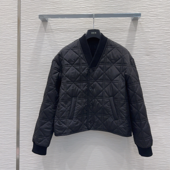 Dior Quilted Padded Jacket Black 2025 DR110645 (QI-251106046)