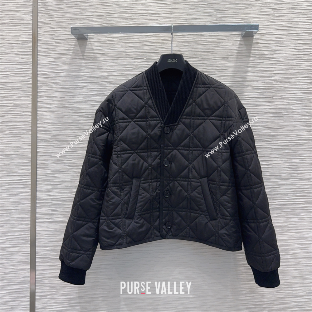 Dior Quilted Padded Jacket Black 2025 DR110645 (QI-251106046)