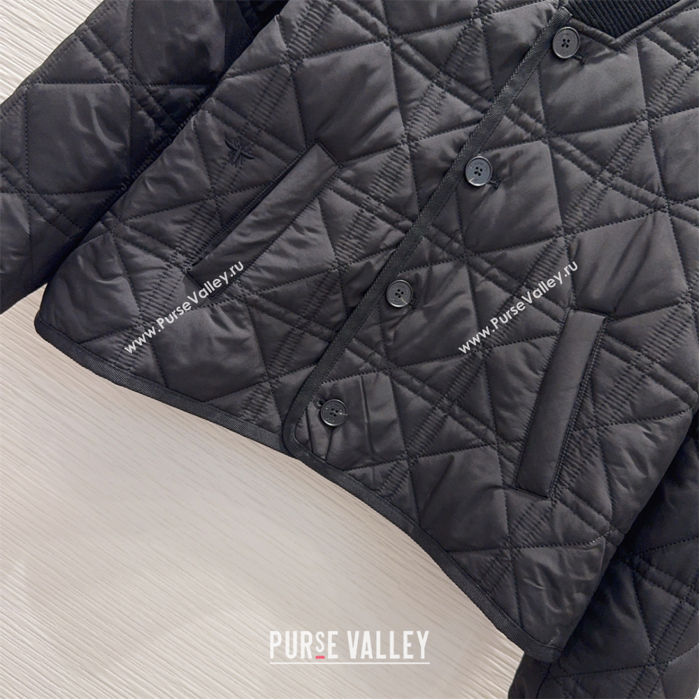 Dior Quilted Padded Jacket Black 2025 DR110645 (QI-251106046)