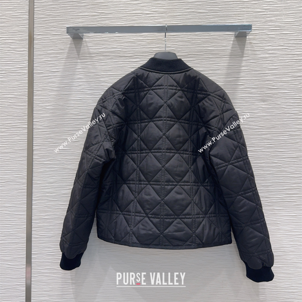 Dior Quilted Padded Jacket Black 2025 DR110645 (QI-251106046)