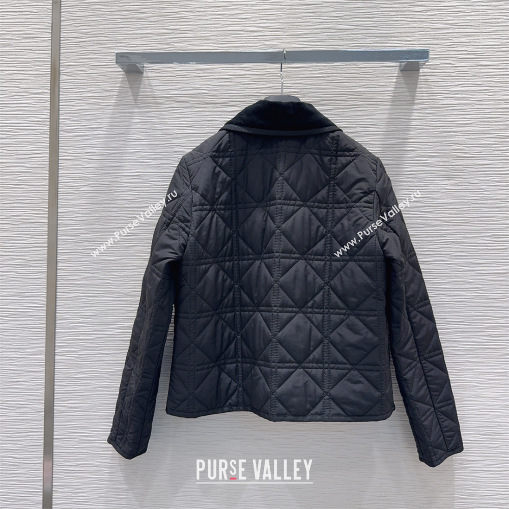 Dior Quilted Padded Jacket Black 2025 DR110646 (QI-251106048)