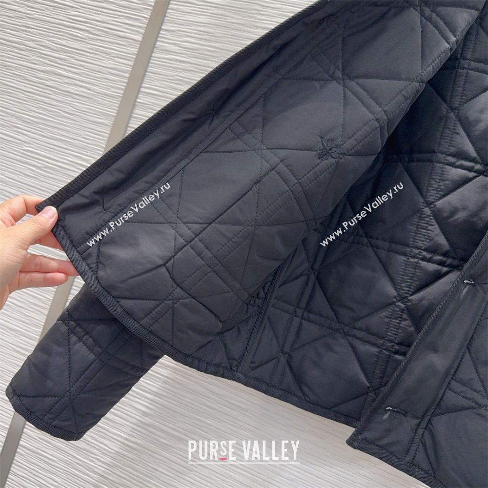 Dior Quilted Padded Jacket Black 2025 DR110646 (QI-251106048)