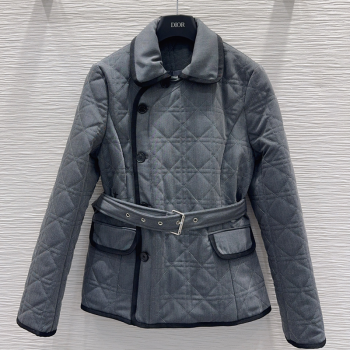 Dior Quilted Padded Jacket 2025 DR110649 (QI-251106049)