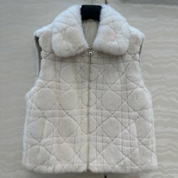 Dior Mink Fur and Sheepskin Leather Vest White 2025 DR110503 (QI-251106103)