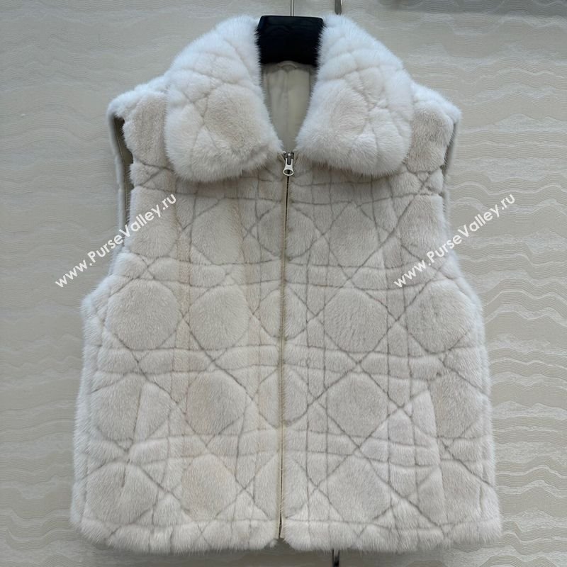 Dior Mink Fur and Sheepskin Leather Vest White 2025 DR110503 (QI-251106103)