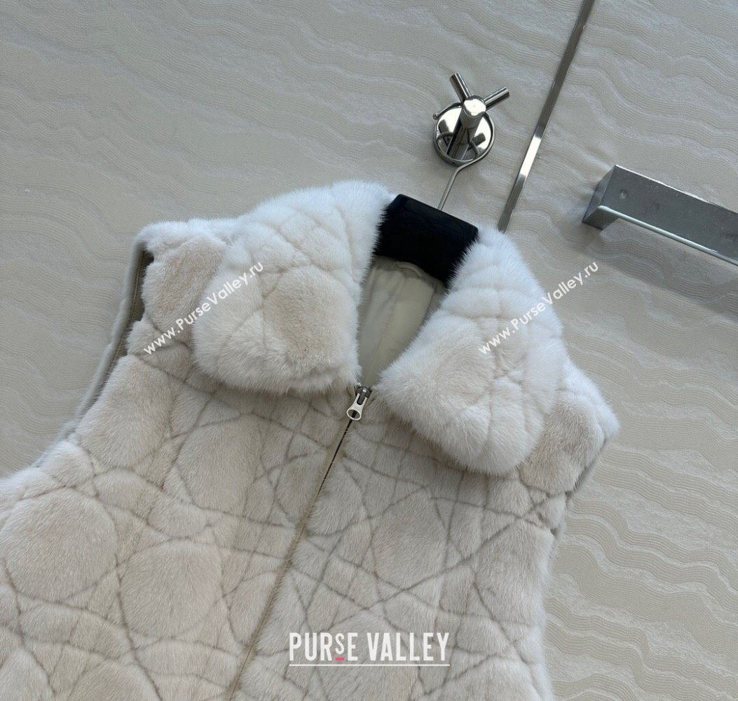 Dior Mink Fur and Sheepskin Leather Vest White 2025 DR110503 (QI-251106103)
