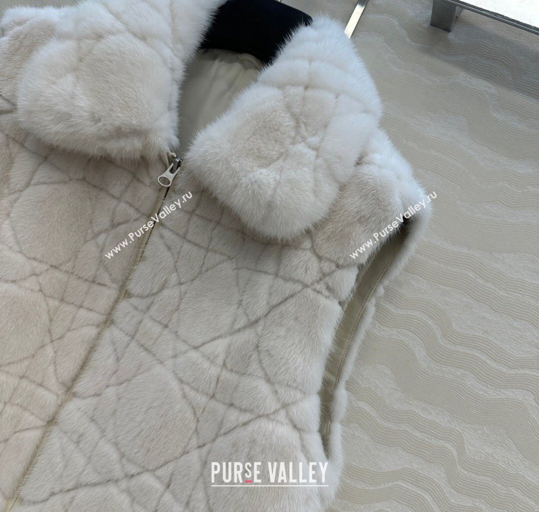 Dior Mink Fur and Sheepskin Leather Vest White 2025 DR110503 (QI-251106103)