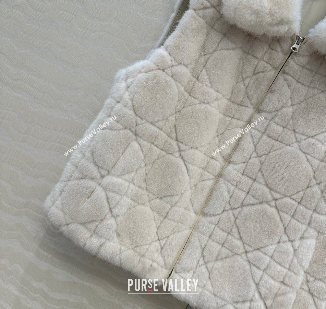 Dior Mink Fur and Sheepskin Leather Vest White 2025 DR110503 (QI-251106103)