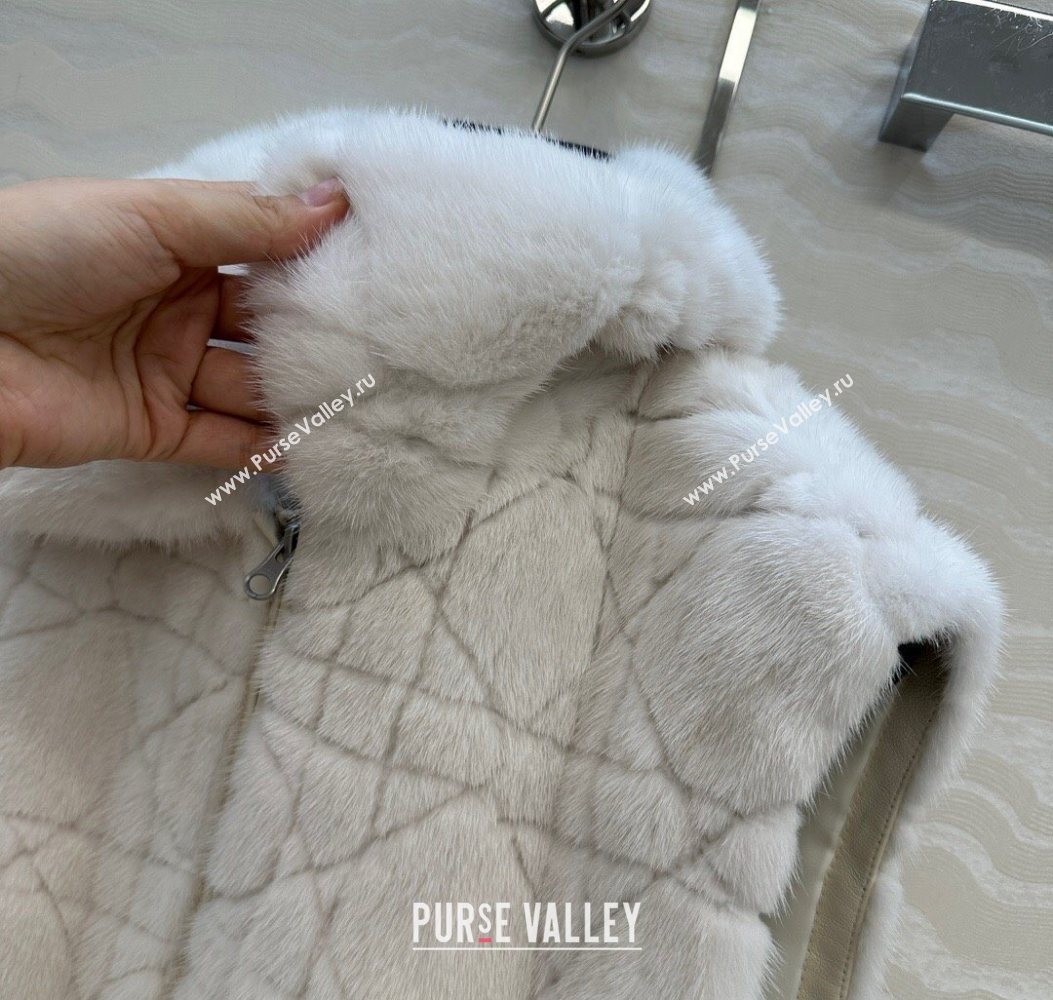 Dior Mink Fur and Sheepskin Leather Vest White 2025 DR110503 (QI-251106103)