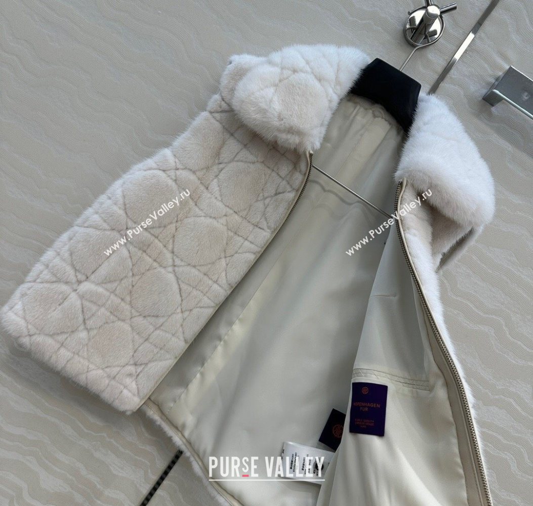 Dior Mink Fur and Sheepskin Leather Vest White 2025 DR110503 (QI-251106103)