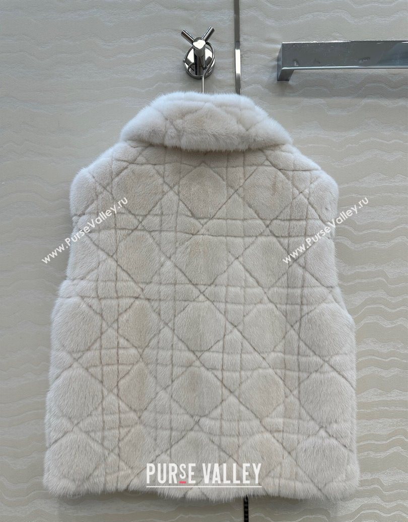 Dior Mink Fur and Sheepskin Leather Vest White 2025 DR110503 (QI-251106103)