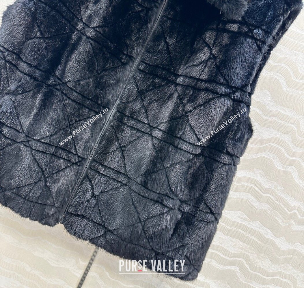 Dior Mink Fur and Sheepskin Leather Vest Black 2025 DR110503 (QI-251106104)