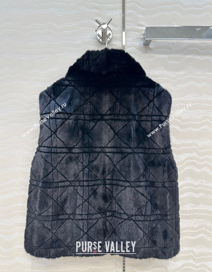 Dior Mink Fur and Sheepskin Leather Vest Black 2025 DR110503 (QI-251106104)