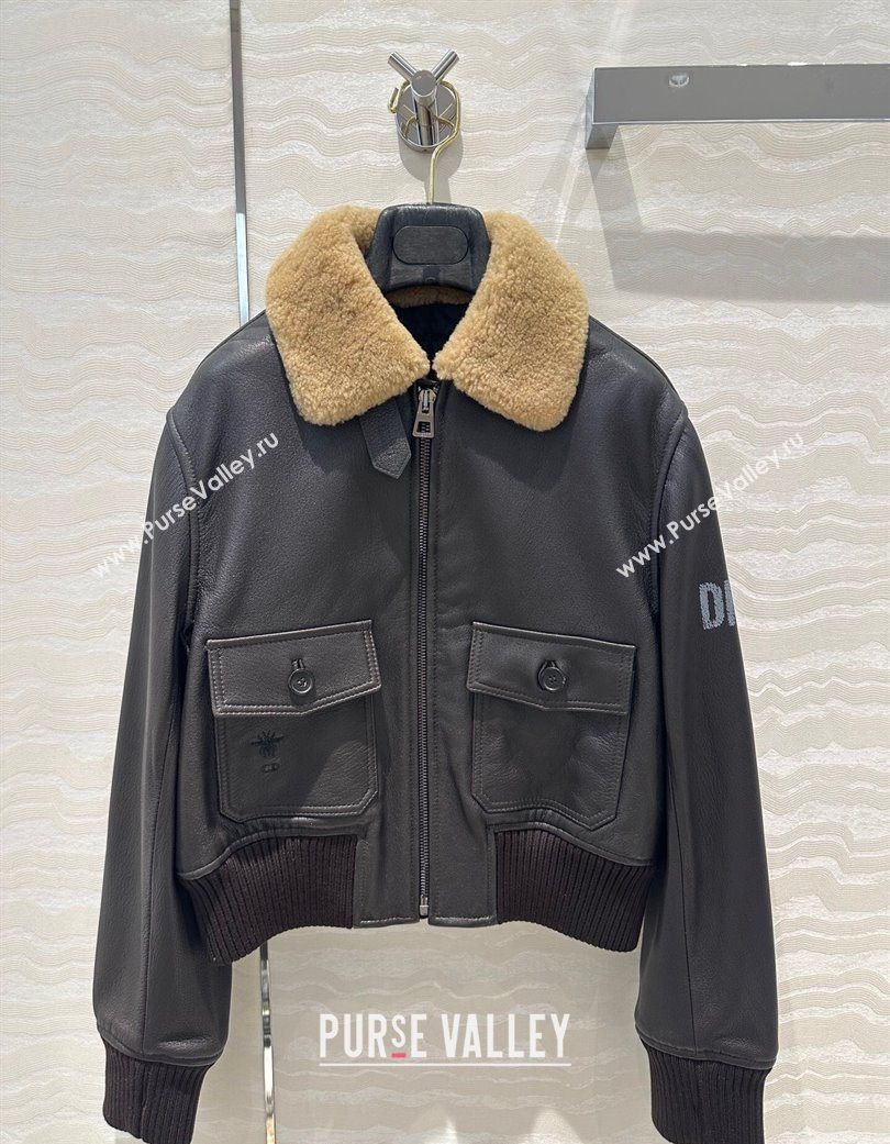 Dior Leather and Shearling Jacket Black 2025 DR110688 (QI-251106088)