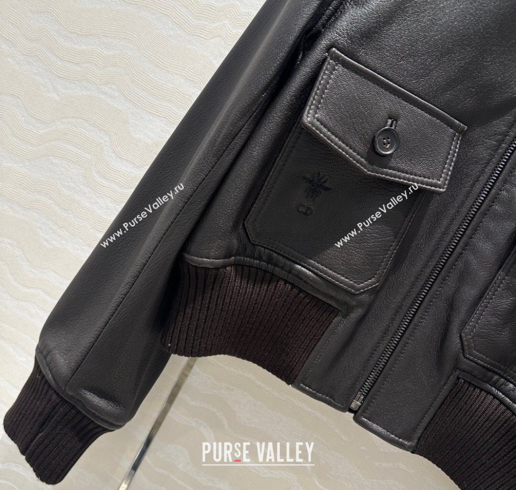 Dior Leather and Shearling Jacket Black 2025 DR110688 (QI-251106088)