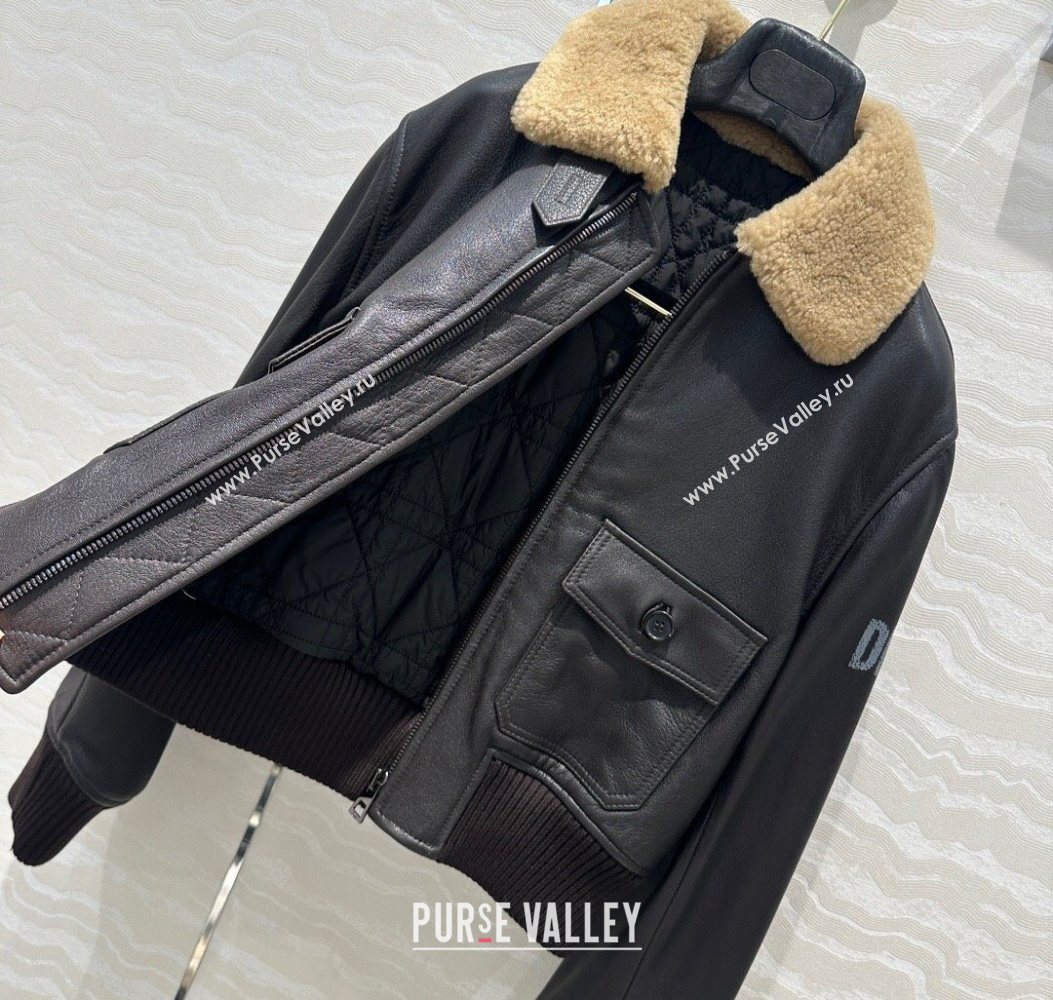 Dior Leather and Shearling Jacket Black 2025 DR110688 (QI-251106088)