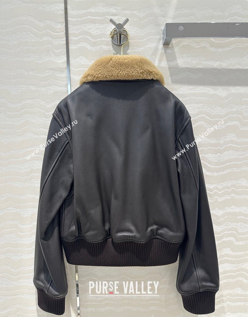 Dior Leather and Shearling Jacket Black 2025 DR110688 (QI-251106088)