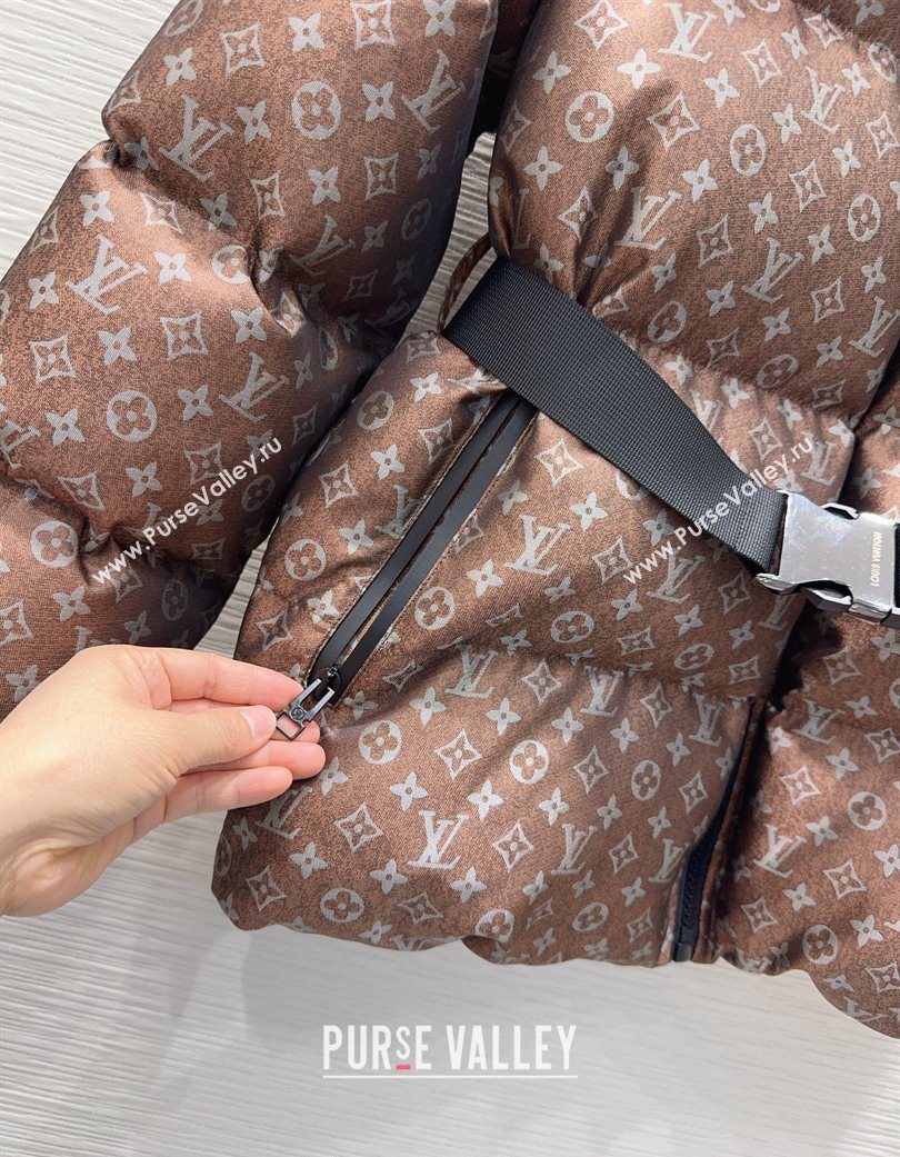 Louis Vuitton Down Jacket Brown 2025 1201 (QI-251201087)
