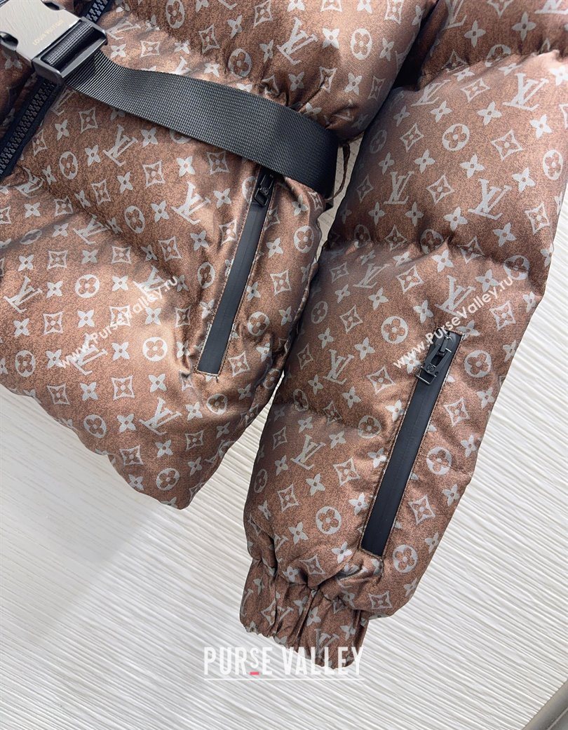 Louis Vuitton Down Jacket Brown 2025 1201 (QI-251201087)