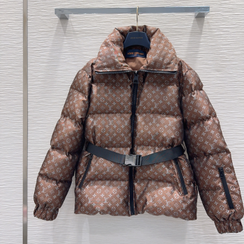 Louis Vuitton Down Jacket Brown 2025 1201 (QI-251201087)