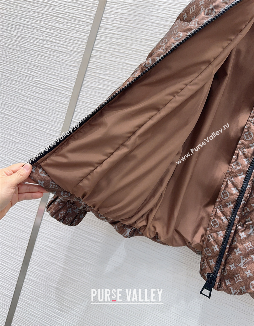 Louis Vuitton Down Jacket Brown 2025 1201 (QI-251201087)