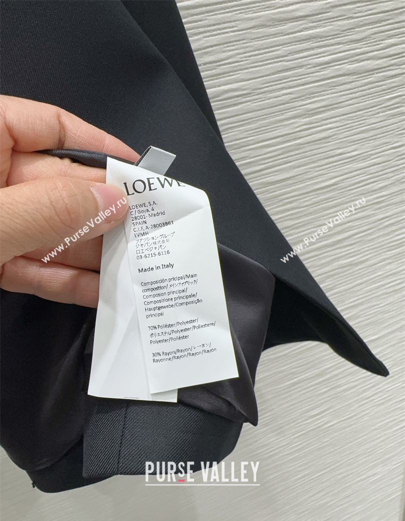 Loewe Jacket and Pants Set Black 2025 LW120201 (QI-251202075)