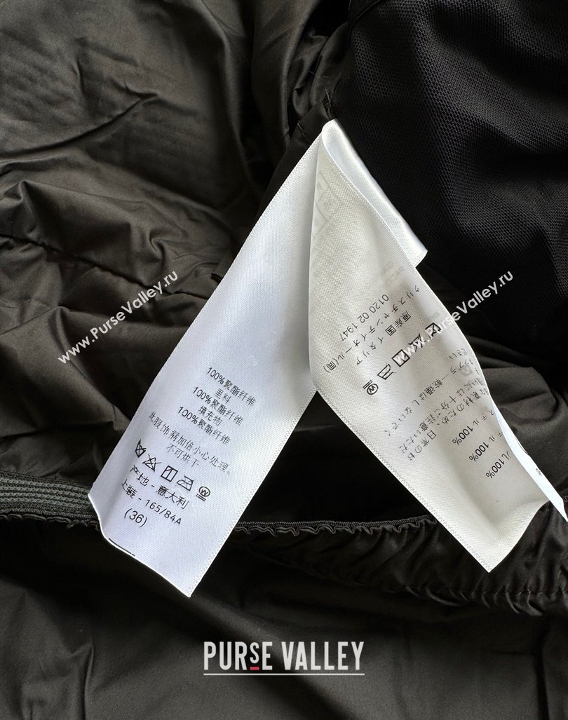 Dior Snow Down Jacket with Buckle 2024 1025 (QI-241025038)