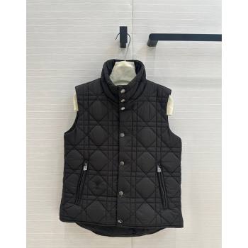 Dior Nylon and Padded Vest Black 2024 1025 (QI-241025004)